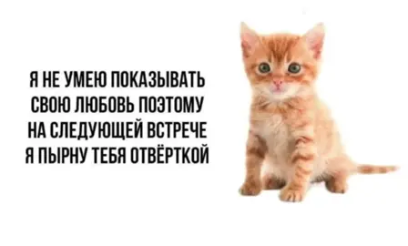 #мем #fyp #foryoupage #озвучка #озвучкамемов #котик #cat #окак #смехуятина 