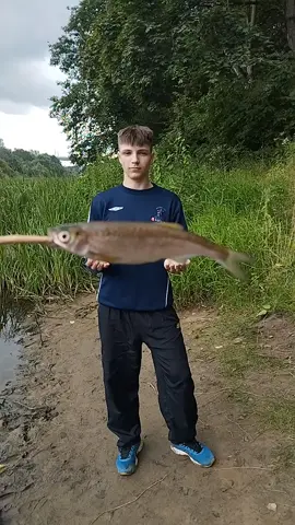 трофей#рыбалка#неман @pahich_zz #лещ #улов #3кг 