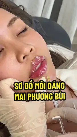 Lên cho chị em sơ đồ dáng môi hotgirl Mai Phương Bùi #xuhuong #nganle #môimaiphươngbùi #tiemmoi 