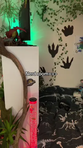 #RoomTour #dinonerd #nerd #room #dinotok #fyp #dinosaur #jurassicpark #jurassicworld #viral 