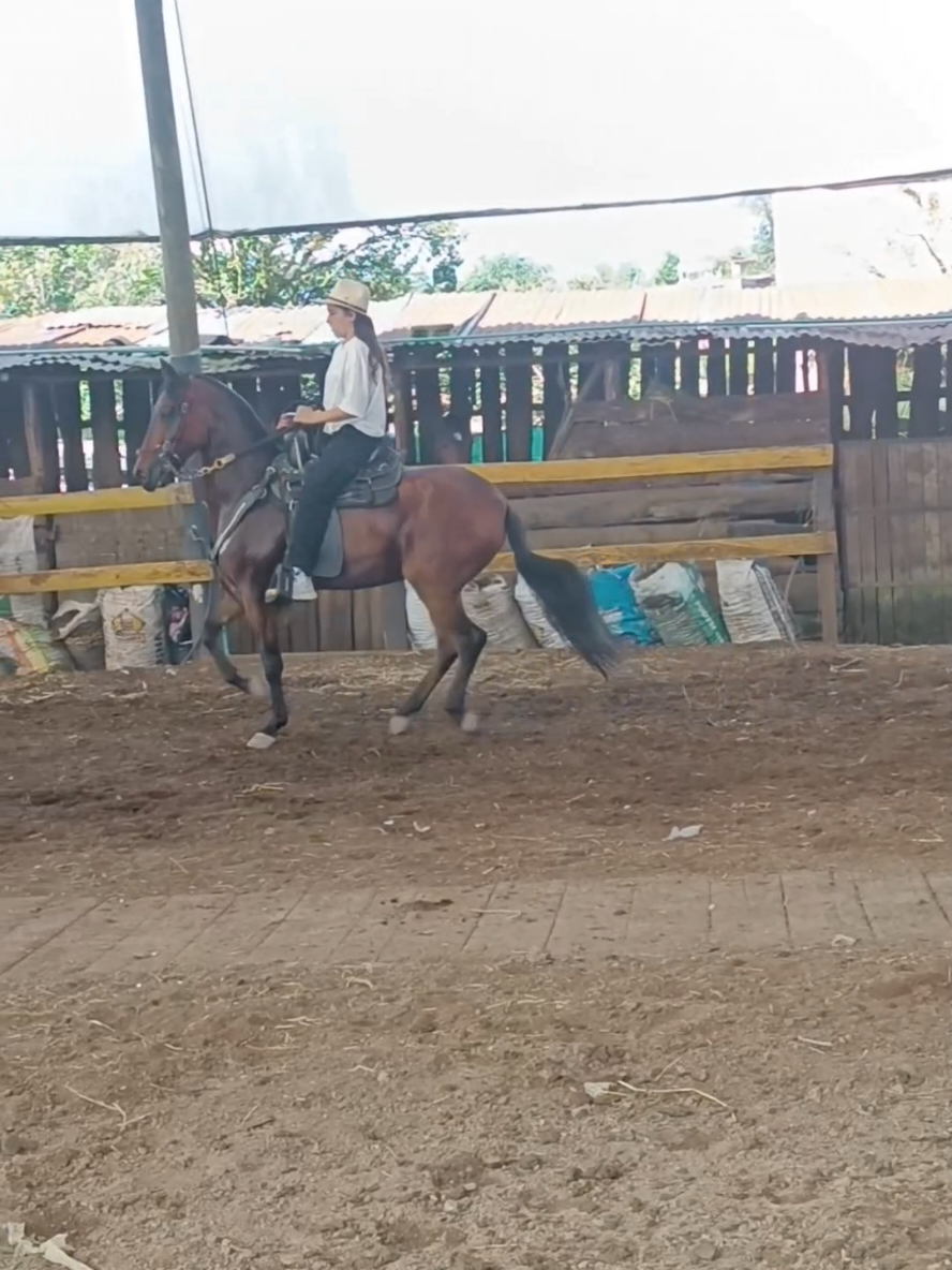 Aprendiendo cada día más 😍🤠🐎🏇. #caballistasdecorazon #amorporloscaballos #rockycueros #chalaneria 