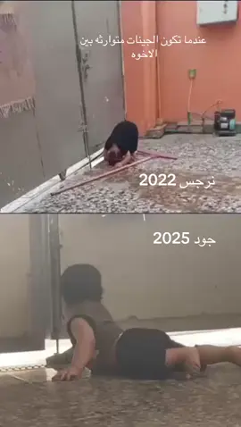 حبايب روحي اولادي