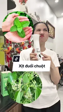 Giờ dùng bẫy hay băng phiến là lỗi thời dùng chuyển qua dùng xịt đuổi chuột đi mọi người ơi #obsvietnam  #xitduoichuotobs #baychuot 
