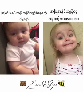 #mention #foryou #fypシ゚ #🐻zenbee🐝 