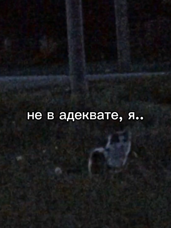 мой тгк с треками из видео: НЕФАСЯ #апфс #максимфисенко #музыка #рекомендации 