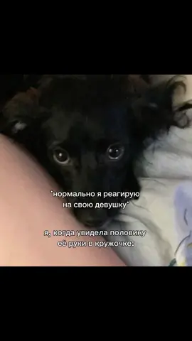 @🏳️‍🌈×narkktt:3 🤏🤏#рекомендации #wlw #fyp #fyp #foryou #f ##f ##fyp ##f ##fyp #tiktok ##tiktokindia #t#trend #влв 