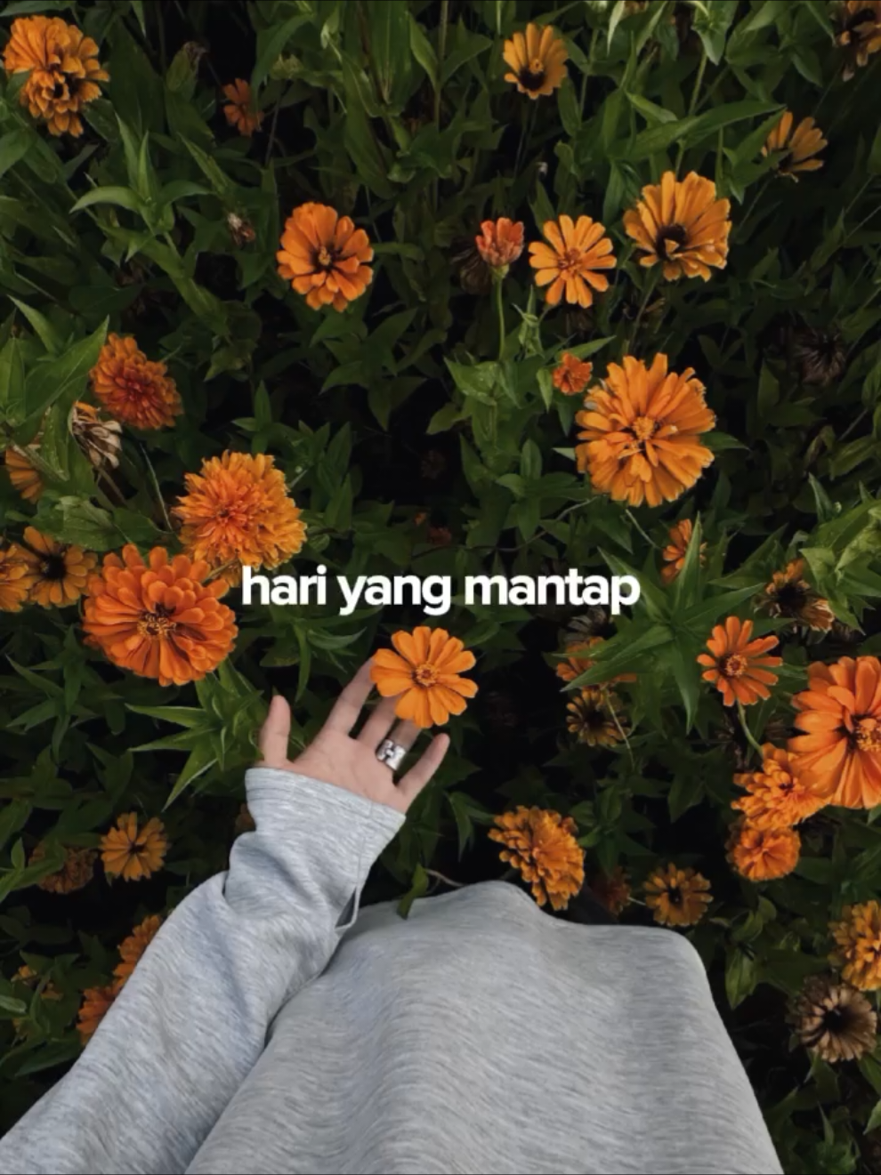 HARI YANG MANTAP #CapCut #fyp #foryou #lirik #trend #templatecapcut #gustiwiw 