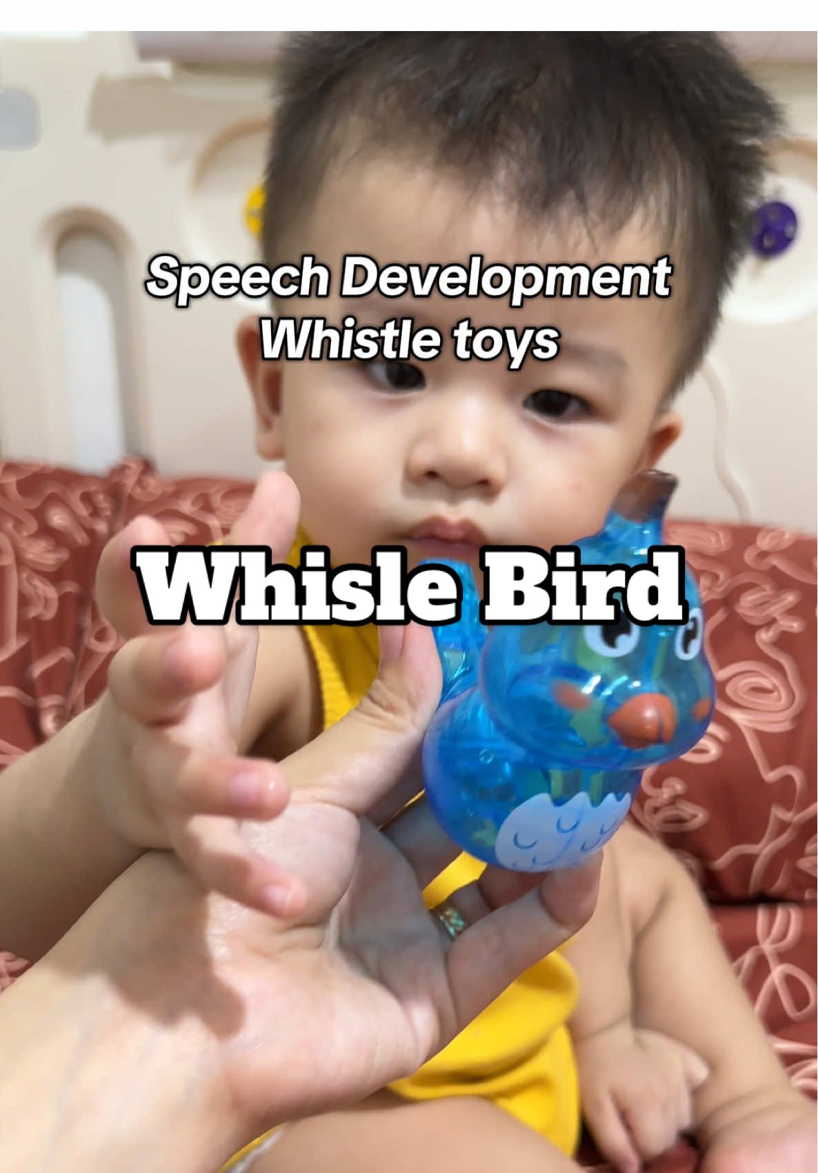 Whistle bird for kids for speech development. #speechdevelopment #speechdevelopmenttoys #whistletoys #whistle 
