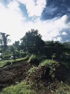 未来一定会很好，即使现在有很多不幸. Tương lai chắc chắn sẽ tốt đẹp, cho dù hiện tại có rất nhiều bất hạnh. #xuhuong #fpy #tamtrang #chill #buon 