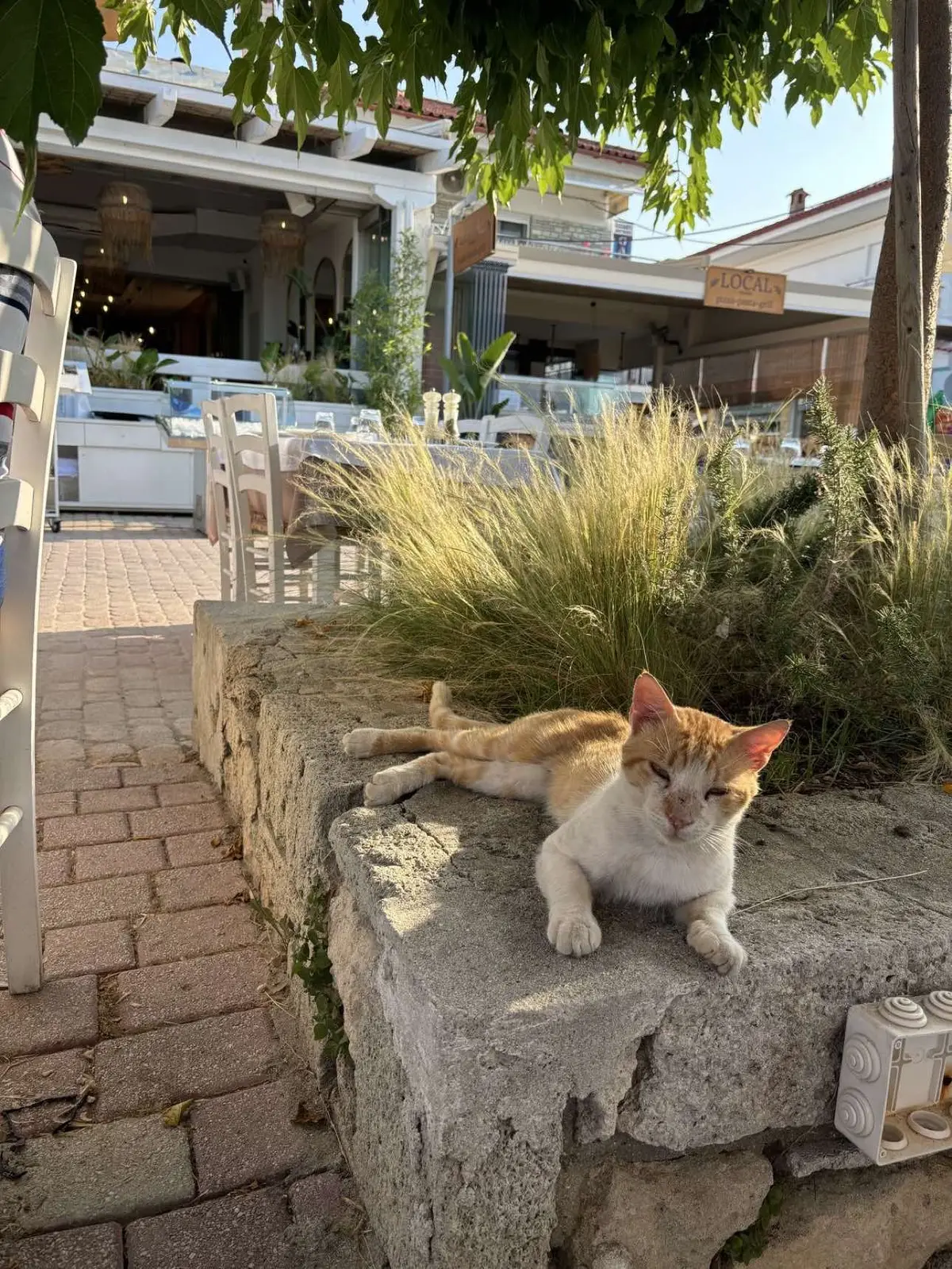 #кайфули #пубертатные #рекомендую #дую 