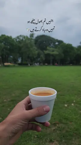 مجھے لگتا ہے جب میں اپنے برے وقت سے لڑ کر جینے کیلئے تیار ہو جاؤں گا عین اس وقت مجھے یہ زندگی دھوکا دے دے کی ۔ .. . . . #foryou #fyp #foryoupage #explore #view #caption #post #1millionaudition #viral 