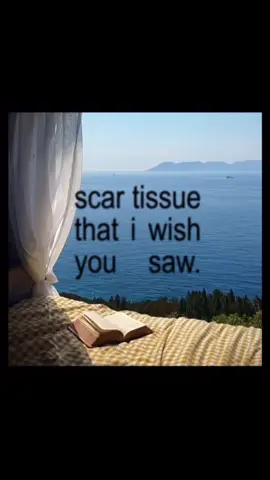 scar tissue • red hot chilli peppers 🌶️  #rhcp #scartissue #90s #redhotchilipeppers #kodakmp4 #super8film #bratgenerator 