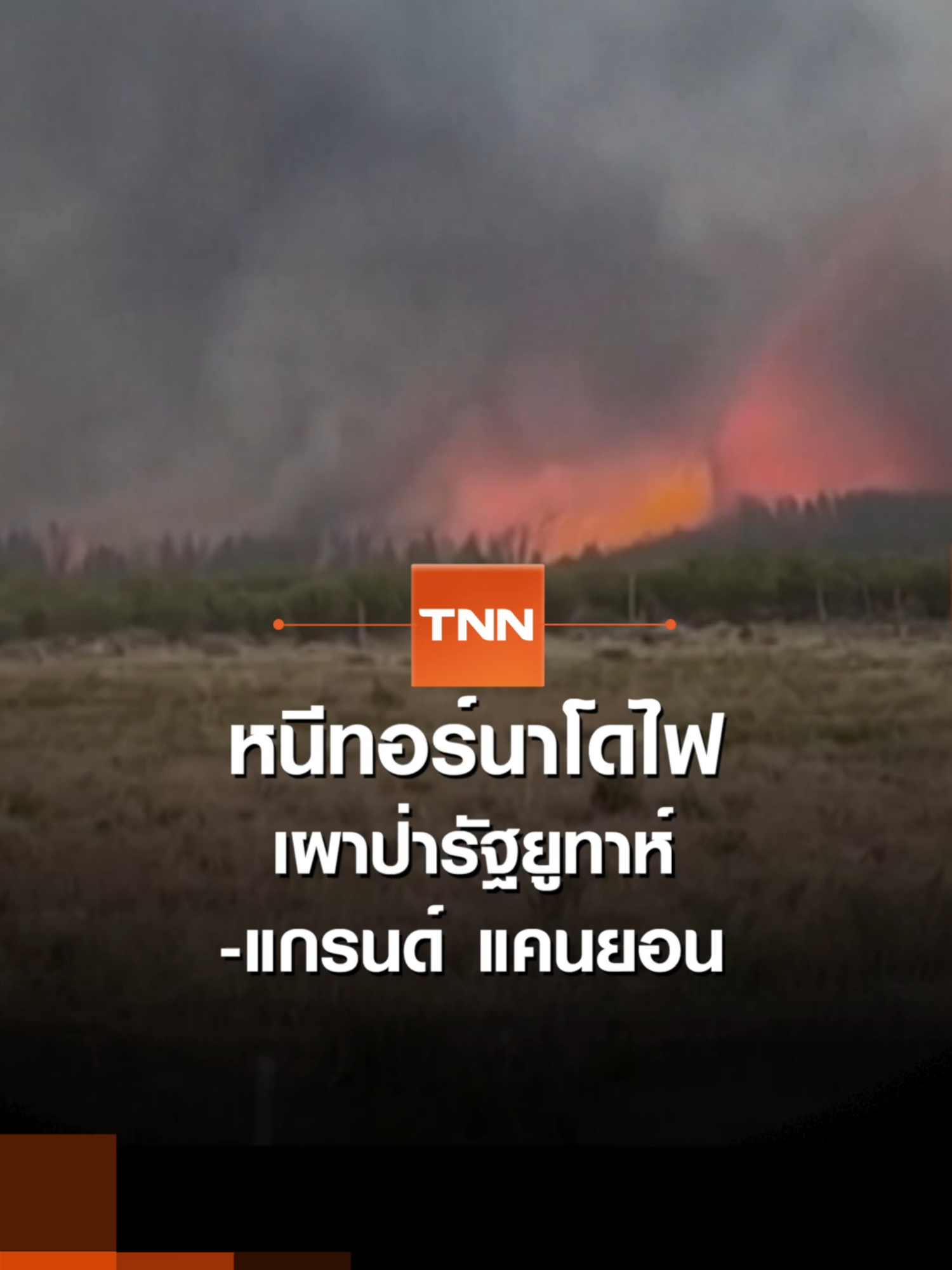 หนีทอร์นาโดไฟ เผาป่ารัฐยูทาห์-แกรนด์ แคนยอน | TNN ข่าวค่ำ | 15 ก.ค. 68 #หนีทอร์นาโดไฟ #ทอร์นาโด #เผาป่า #เผาป่ารัฐยูทาห์ #แกรนด์แคนยอน #พายุ #ไฟป่า