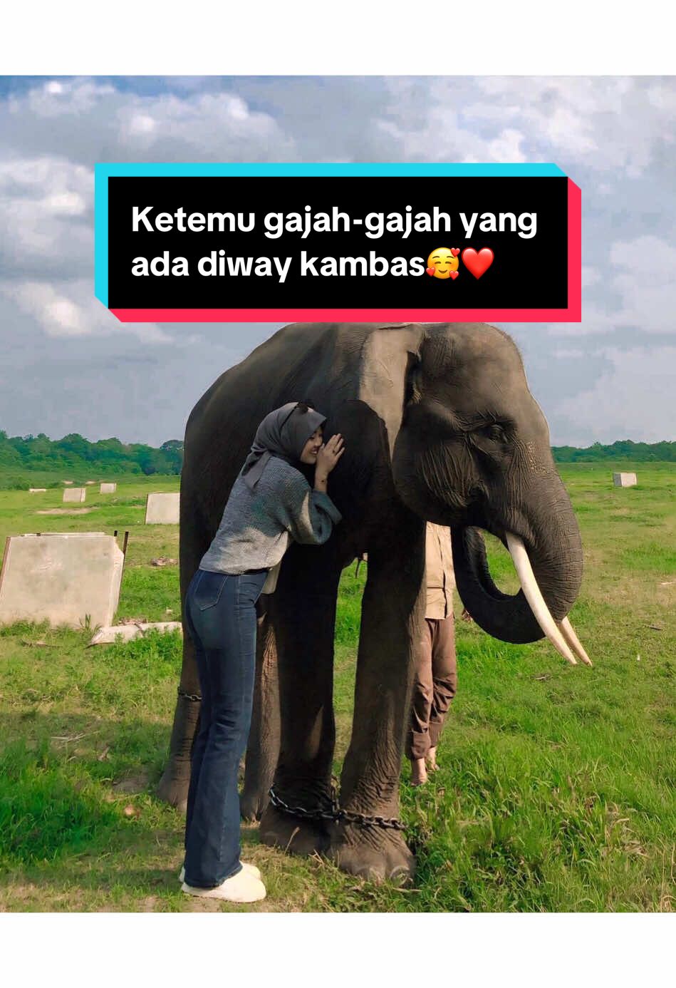 sedih ga ketemu mama pleno,kaka erin sama adek nissa tapi tetep happy di ajak bergoyang sama nunik biduan lampung😭❤️🫶 #gajah #lampung #viral #trendingtiktok #masukberandafyp #waykambas #gajahviral #affiatetiktok 