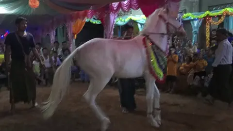 ဆယ်လီမအသဲပေးတာလား 🤦‍♂️🤦‍♂️