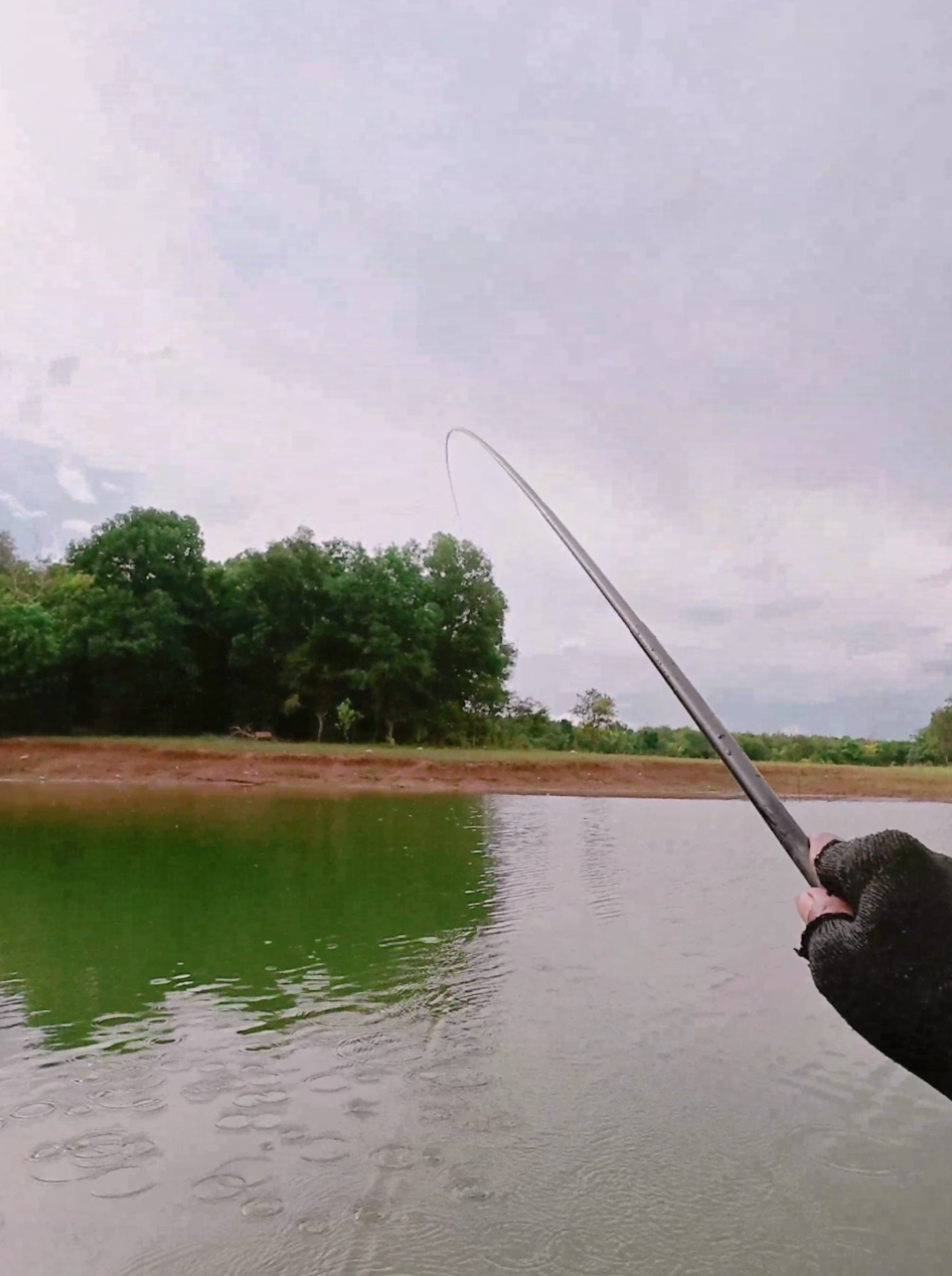 spot pian lun injam iwaknya lun ambil  #fishing #mancing #nyobok #tilapia #waduk #kalsel #fyp 