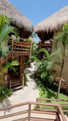 Conoce Hotel Carolina #bacalar #hotelcarolina #bacalarmexico #bacalarlagoon #visitbacalar 
