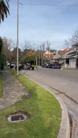 #perrostiktokers #perrosfelices #mardelplata #perroscriollos #paseadoresresponsables #paseadoradeperros #perrosdivertidos #perros 