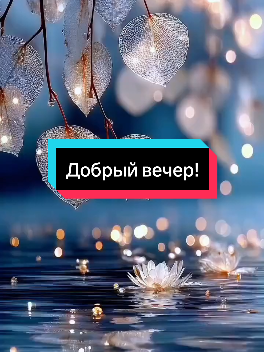 #добрыйвечердрузья 