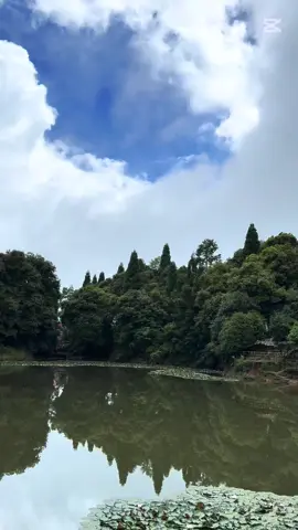 Mai Pokhari #ilam #maipokhari #eastnepal #nature #ilammuser #jhapalimuser #nepalitiktok 