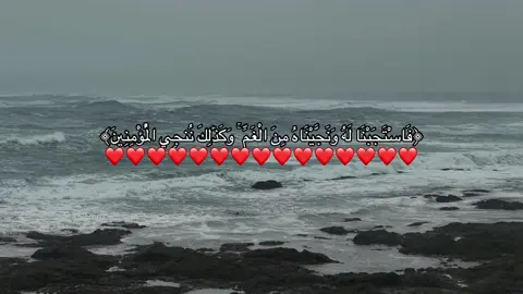 #صدقه_جارية #allah #اجر_لي_ولكم #قران #fypシ゚ #قران_كريم #اسلام_صبحي 