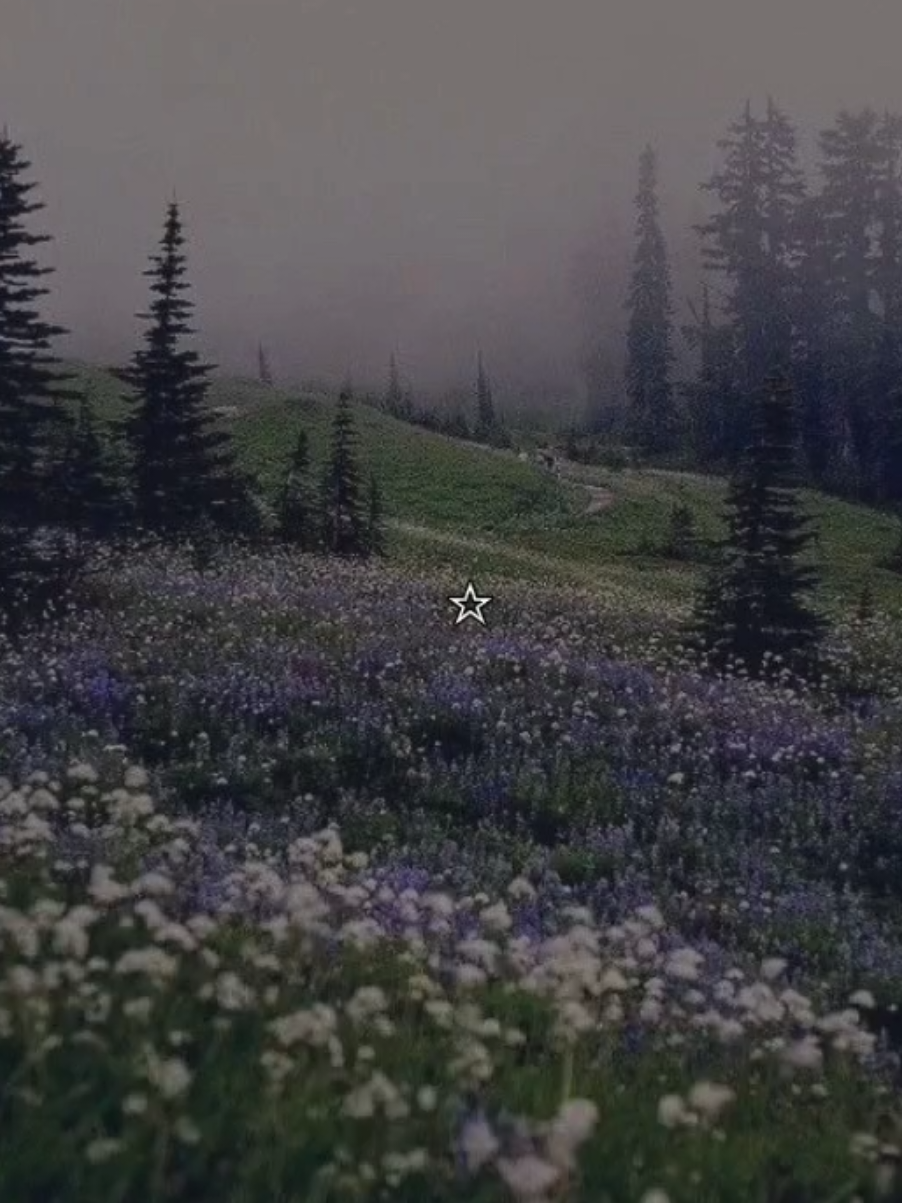 Chove lá fora, a neblina cobre tudo e o silêncio diz mais que mil palavras. uma vibe meio nostálgica, meio paz, meio 'eu só queria sumir aqui por uns minutos' ☁️🌧️✨