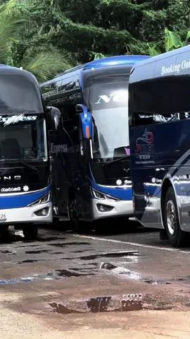 වර්ග තුනකින්.... 🫣 Yutong C12pro , C12 & C11 💙✨ #fyp #fyppppppppppppppppppppppp #travelwithncg #onemillionaudition #ncgexpress 