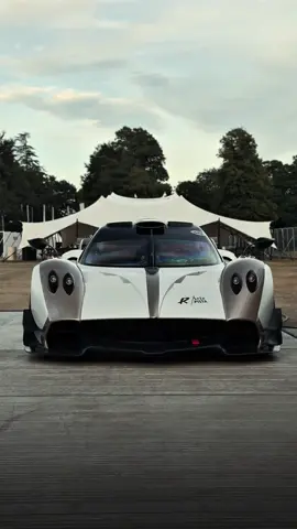 Pagani Huayra R EVO #pagani #huayra #paganihuayra #goodwood #fyp   