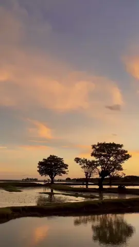 #parialauttakalarlama🌅 #fyppppppppppppppppppppppp #sansetvibes📸🧡 #bxcyaz 