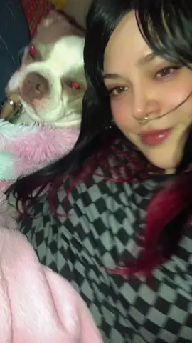 Trying to pay my husbands truck off one post at a time #boston #dogsofttiktok #dogs #alternative #darkhair 