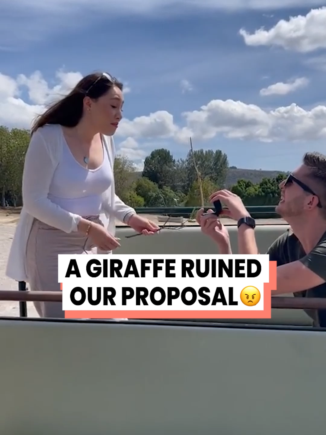 Is the Bride's head still with us? 😳 @montserratcox via BViral #proposal #proposalvideo #proposalfail #weddingday #bridetobe #giraffe #safari #ruinedit