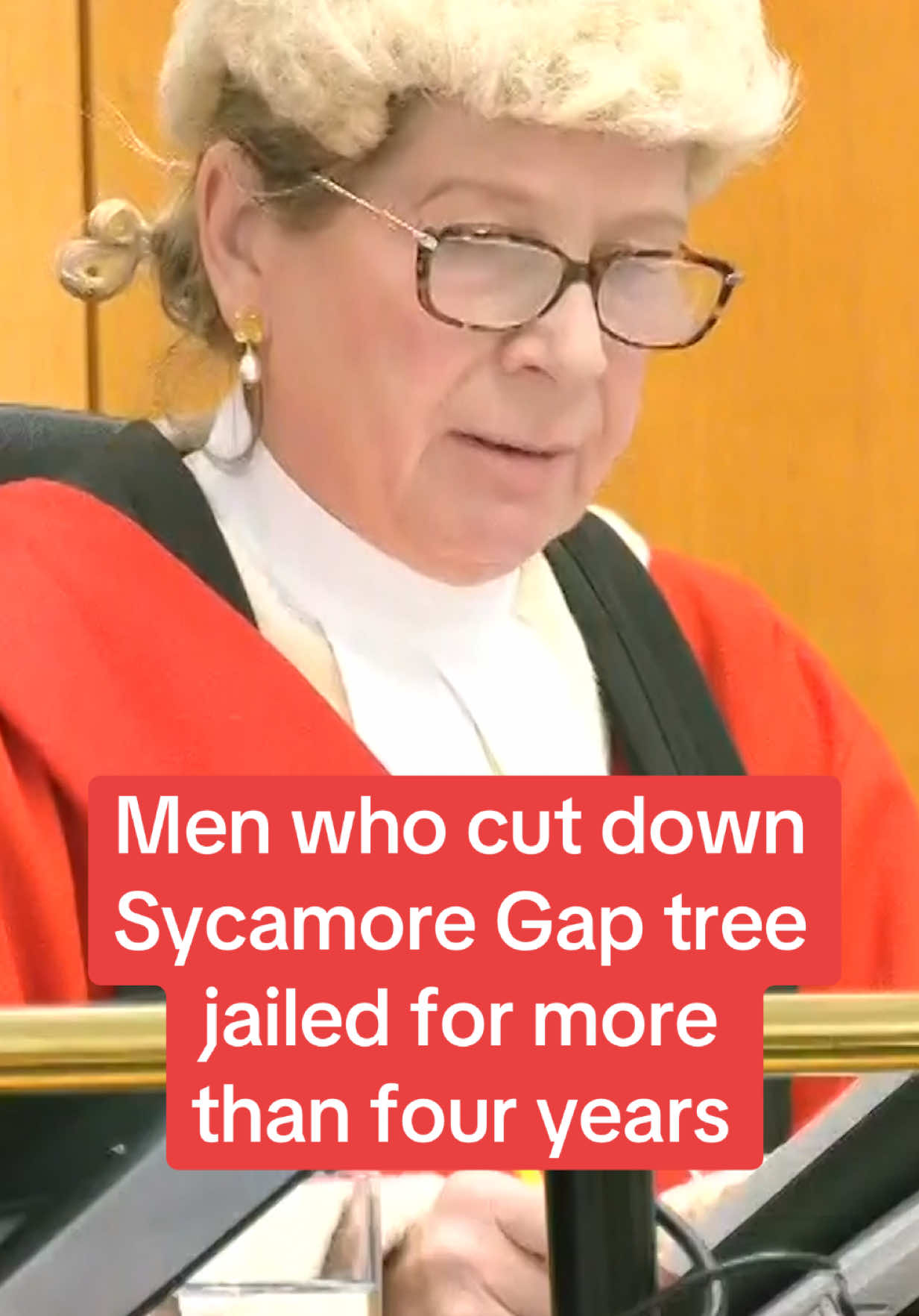 ⬆️CLICK ABOVE FOR FULL STORY ⬆️ Men who cut down Sycamore Gap tree jailed for more than four years