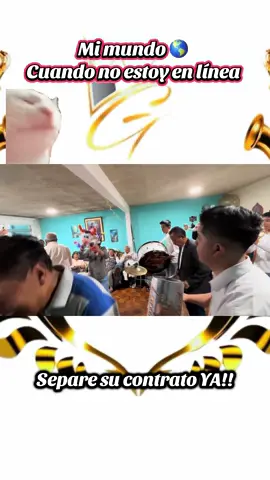 El que no bailó se lo perdió #fiesta #BANDAGORDAEC #LABANDAGORDAEC #bandadepueblo🎉🎺🥁 #bandadepuebloecuador #feed #calderon #cotocollao #musica #trendingvideo #baile #fyp #algoritmo #popular #LHSTUDIO #fiestas #viral #ritmo #baila 