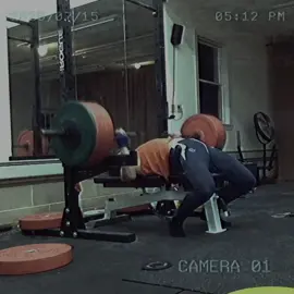 The most Aesthetic and Inspiring person OAT. Who is your favourite? #davidlaid #motivation #aesthetic  #model #fyp 