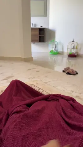 #fyp #اكسبلور #grow #CapCut #الشعب_الصيني_ماله_حل😂😂 