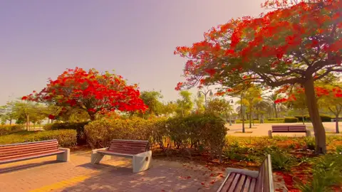 #আনিসুর_রহমান_আশরাফী #fypシ゚viral #islamic_video #foryou @Razu Hossain 