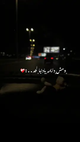 #بيبو_باسم #beboo_bassem❤️🤺 #likeeeeeeee #comment #explore #pov #fact #الشعب_الصيني_ماله_حل😂😂 #تصويري 