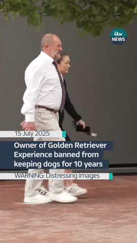 A man who ran an animal attraction involving golden retrievers in Somerset has been banned from keeping dogs after two of the animals died under his care. Nicolas Grant St James of Carhampton in Minehead, ran the Golden Retriever Experience in Dunster, where visitors could spend time with the dogs. He had 42 dogs at the animal attraction and two of them died there. ⚠️WARNING: Distressing images 