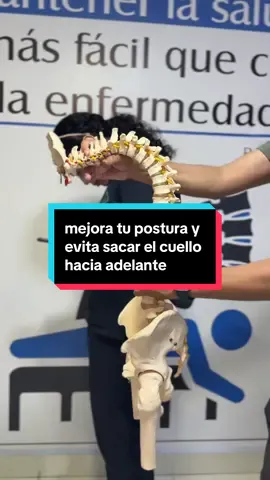 🚫 Cuello hacia adelante = dolor Corrige tu postura y dile adiós al cuello  adelantado 🙅‍♂️✨ ✅ 2 ejercicios x 20 repeticiones al día. Pequeños hábitos, gran alivio para tu columna. ¡Tu cuello te lo agradecerá! 💪 #quiropractico #quiropractica #estiramientos #postura #malapostura #columnavertebral #cuellotenso 