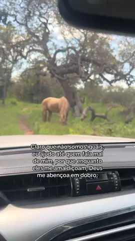 Deus abençoe cada um de vocês! #fyp #quartodemilha #Deus 