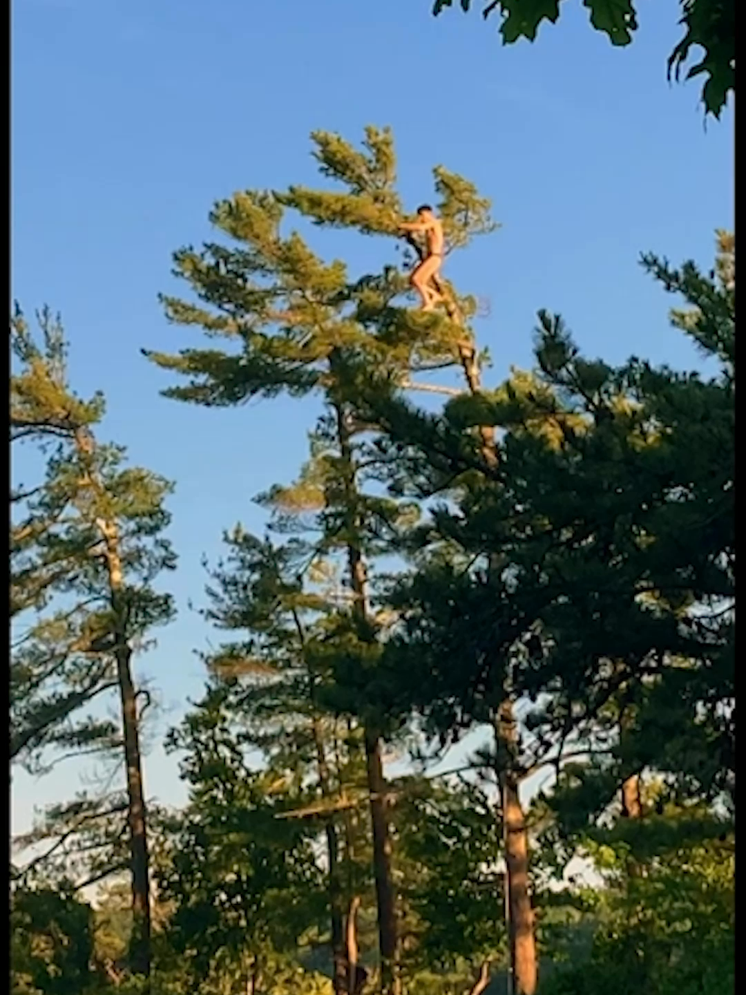 so many questions 🌲 #Ridiculousness #reaction #funny #fail #nature #Hiking