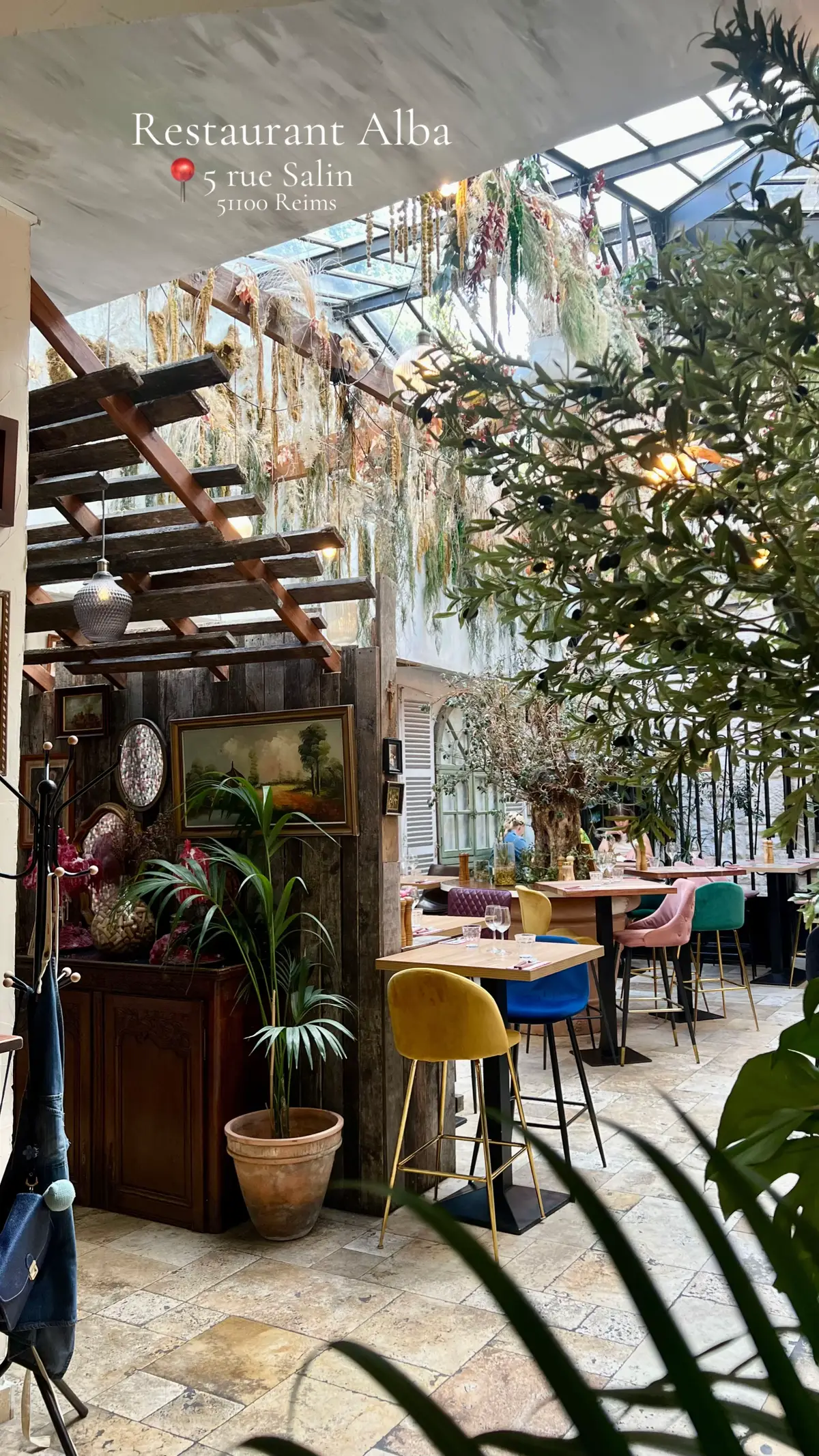 📍Alba, 5 rue Salin à Reims  gros coup de cœur sur le carpaccio de bœuf 😻 #italien #restaurant #reims #pizza #carpaccio #champagne #anniversaire #fyp #diner #pasta 