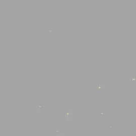 تصميمي .حساب جديد #باسم_الكربلائي #تابعوني #لايك #حسابي_جديد #محتوى_ديني #محتوى_حسيني_هل_من_مشجع😔🤍 #صعدو_الفيديو 