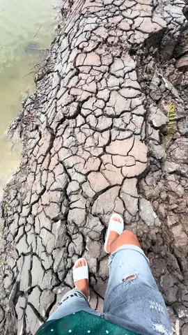 Đi đo đất lụm lúa lụm lúa...#camau #xecuocmientay #xuhuong #xecuoc #phutan 