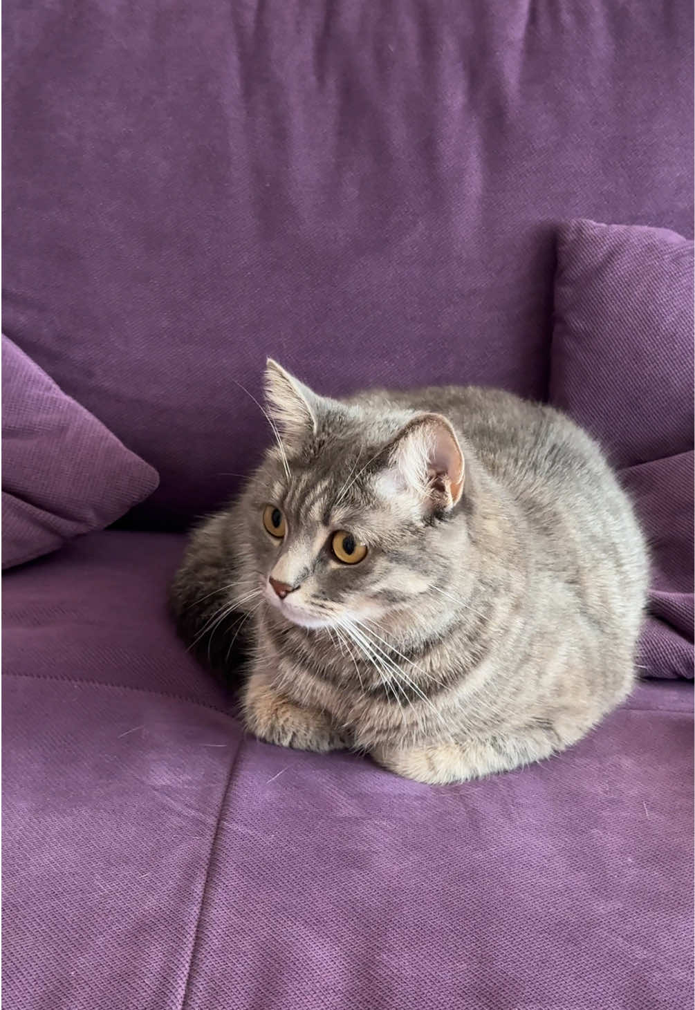 В конце я плакал🤣