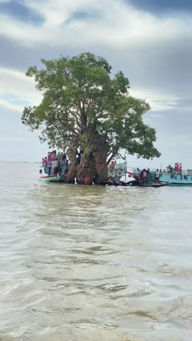 #আমাদের_প্রিয়_নাসিরনগর_ডাক_বাংলো💕 #ডাক_বাংলো_নাসিরনগর_বিবাড়িয়া #viral #tiktok 