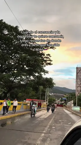 🇻🇪