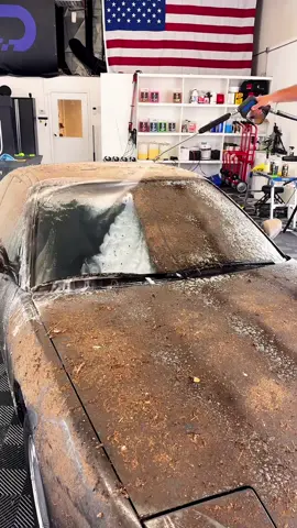 #carwashing #carcleaning #cardetailing #washing #cleaning #detailing #asmr #fyp #car 