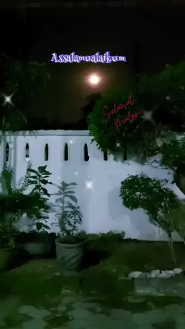 #Bismillah  #fyp#santun#malam#sahabat  #salam #sehatbahagia 🤲