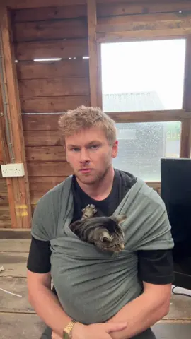 Guys I’m running out of ideas so here’s the 67th video of Lippy in a sling 👍🏽 #fyp #foryou #cutecat #catsoftiktok #lippy 